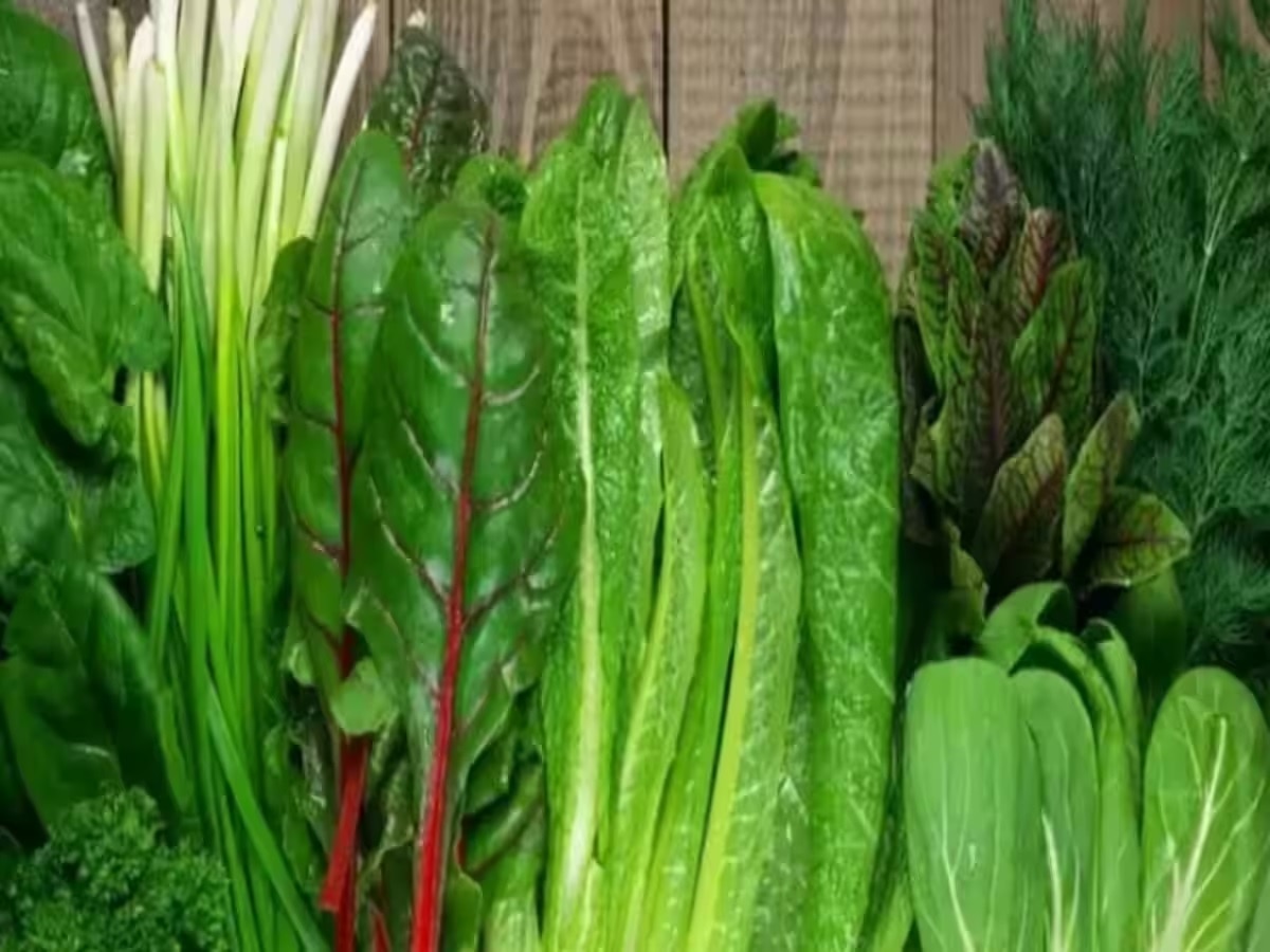 Health Tips: मानसून में क्यों नहीं खानी चाहिए पत्तेदार सब्जियां? पेट की दिक्कतों से बचे रहने के लिए इन बातों का रखें ध्यान