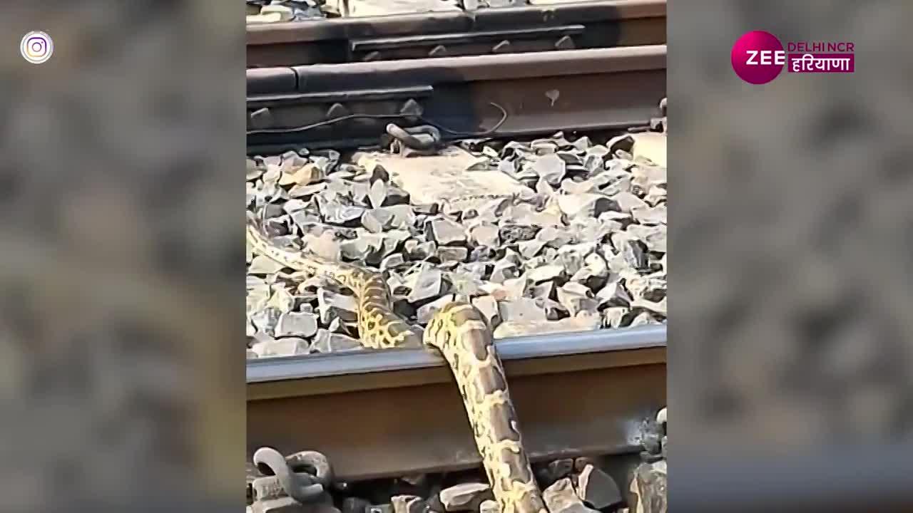 Python seen crossing train track rail ki patri par bhaga saanp video ...