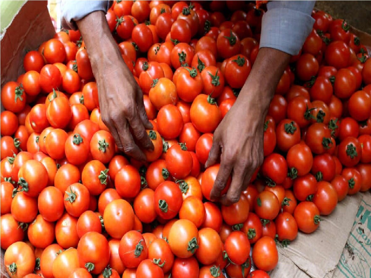 BJP leaders sold tomatoes for Rs 80 a kg in Buxar Tomato Price Modi