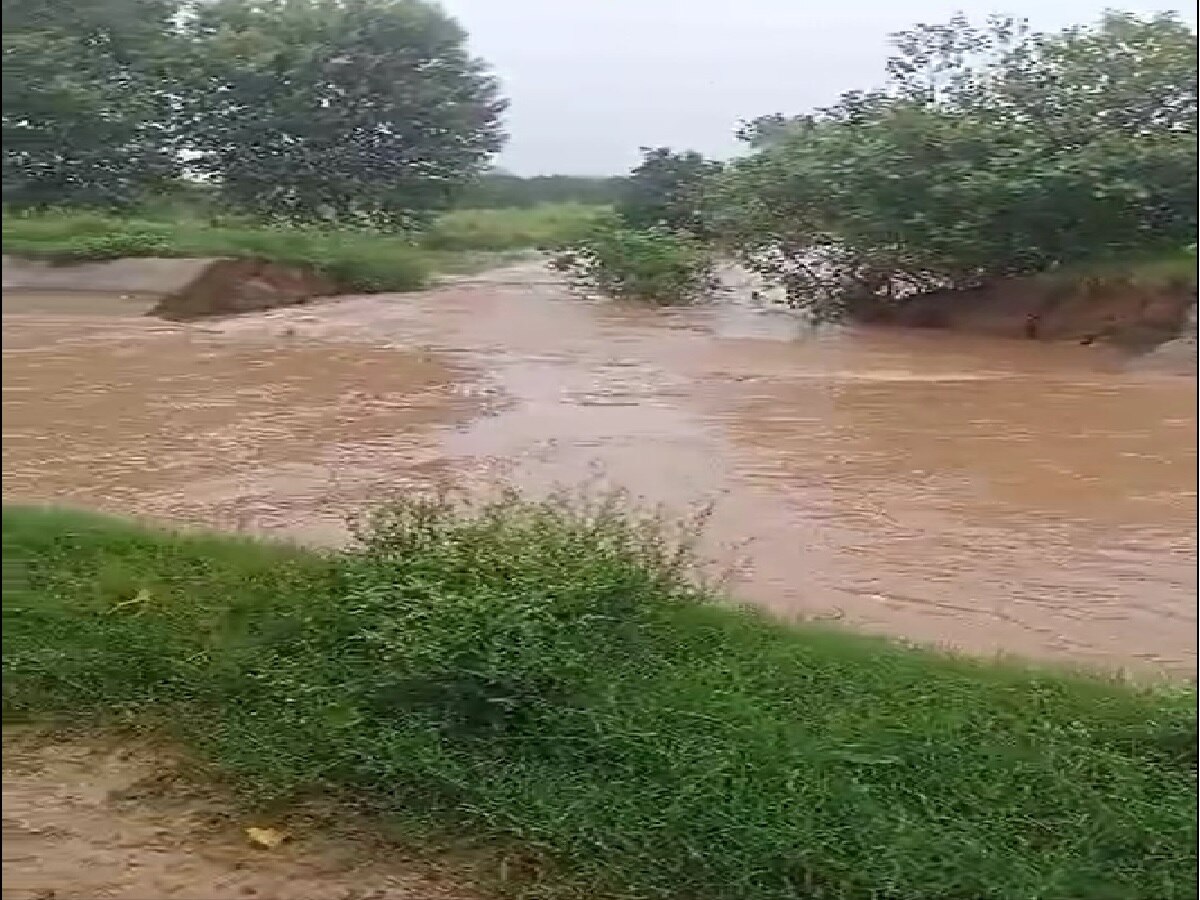 Haryana Flood: हरियाणा में बाढ़ से बिगड़ते हालात, हिसार में बालसमंद नहर टूटी, फतेहाबाद में NH9 तक पहुंचा बाढ़ का पानी
