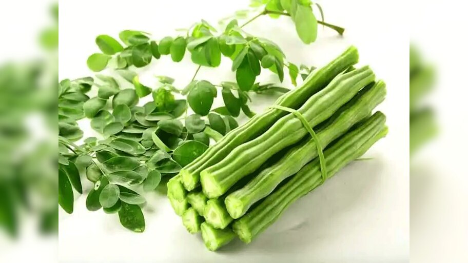 sahjan leaf benefits not only drumstick flowers these great benefits ...