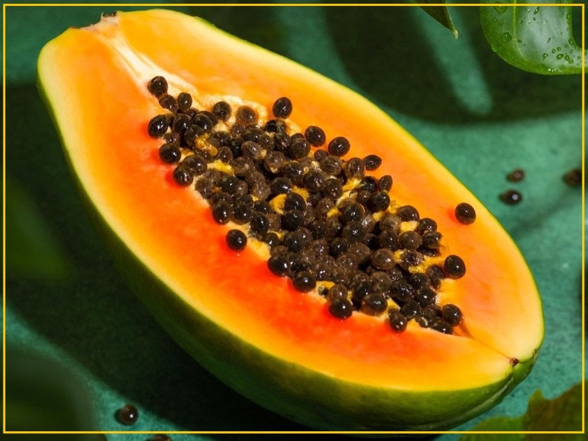 Papaya Seeds benefits in many disease papite ke beej ke fayde Papaya