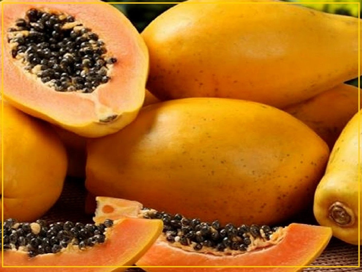 Papaya Seeds benefits in many disease papite ke beej ke fayde Papaya