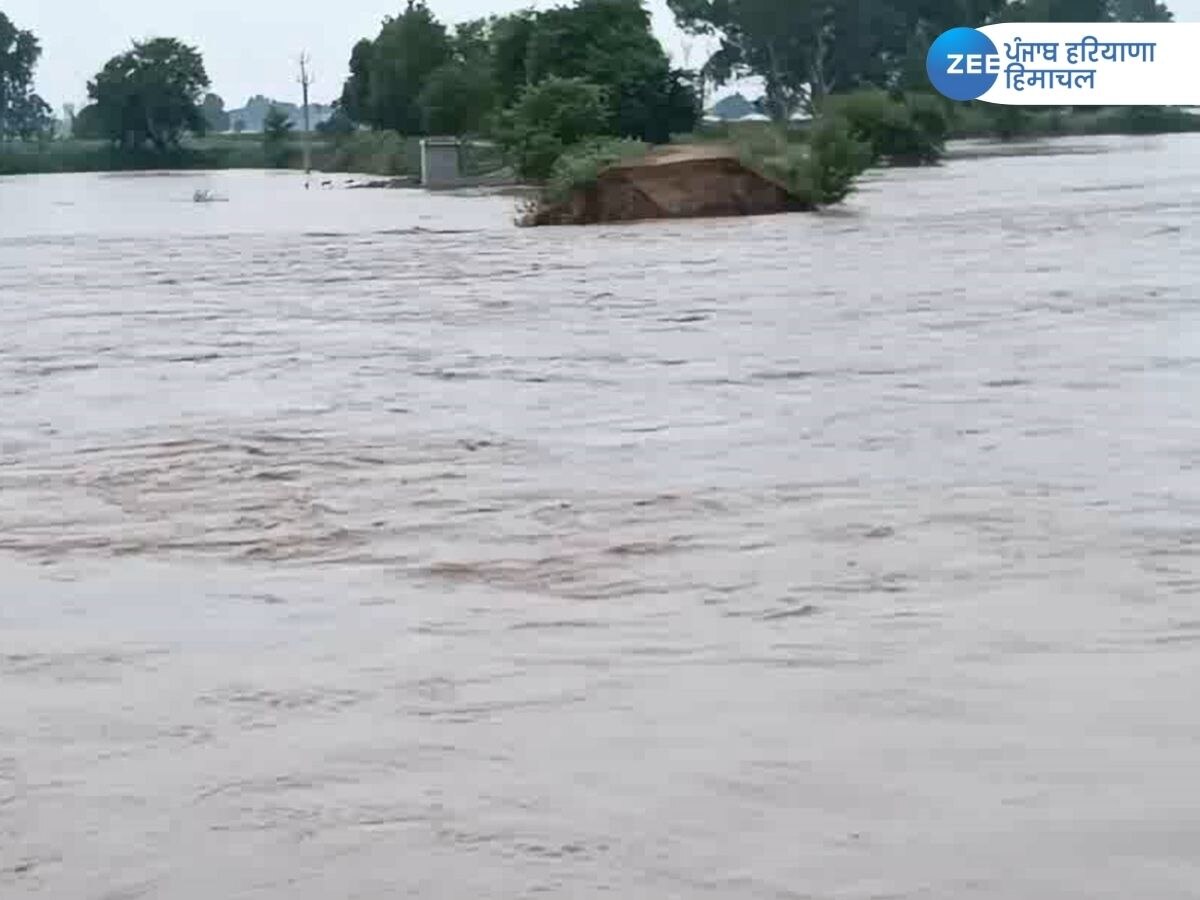 Sardulgarh Flood News: ਸਰਦੂਲਗੜ੍ਹ ਦੇ ਇੱਕ ਹਿੱਸੇ ਵਿੱਚ ਪਾਣੀ 'ਚ ਫਸਿਆ ਗ਼ਰੀਬ ਪਰਿਵਾਰ 