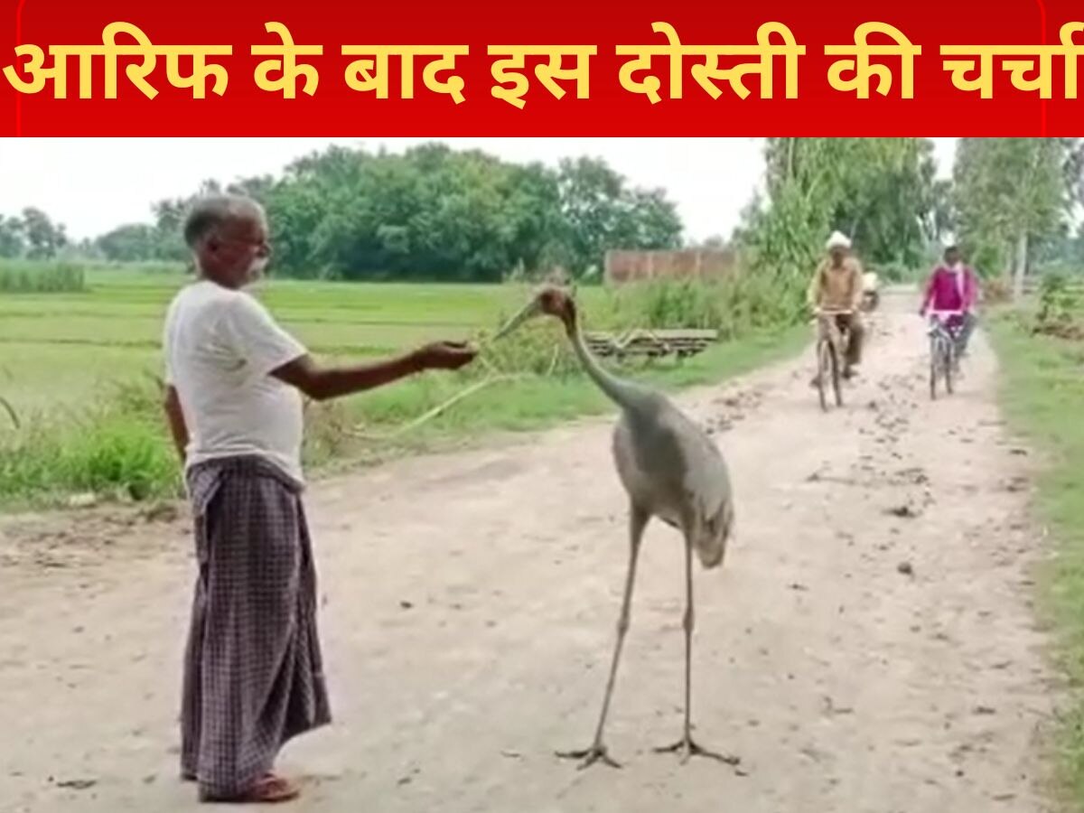 Bhagwati Lohar friendship with stork like Mohammad Arif