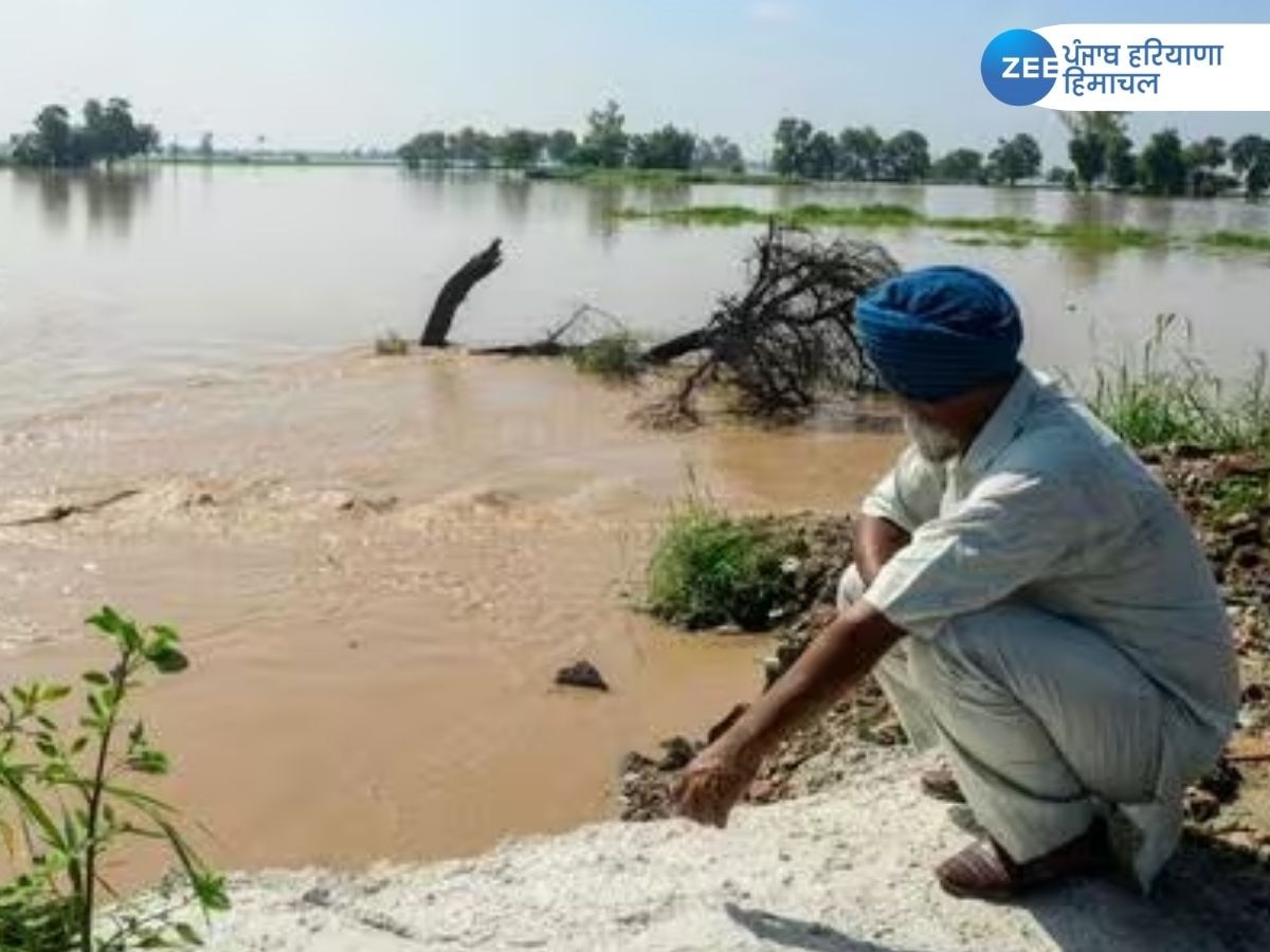 Punjab Floods 2023: ਪੰਜਾਬ ਵਿੱਚ 155 ਰਾਹਤ ਕੈਂਪਾਂ ਵਿੱਚ ਠਹਿਰੇ 4,000 ਤੋਂ ਵੱਧ ਹੜ੍ਹ ਪ੍ਰਭਾਵਿਤ ਲੋਕ, ਹੁਣ ਤੱਕ 38 ਮੌਤਾਂ  