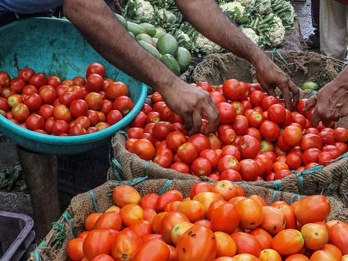 Tomato Price Hike: ₹ 250 के र‍िकॉर्ड पर पहुंचने के बाद टमाटर धड़ाम! अब घटकर इतने रुपये ब‍िक रहा टमाटर