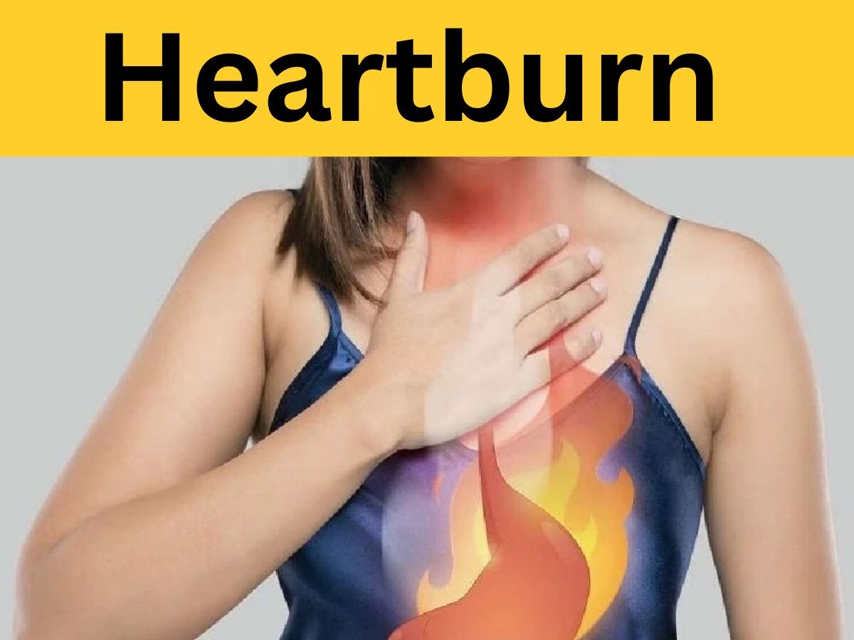 Heartburn: सीने की जलन ने बढ़ा दी तकलीफ, इस फल का पाउडर पहुंचाएगा ठंडक