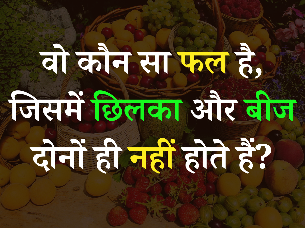 Quiz: आखिर ऐसा कौन सा फल है, जिसमें छिलका और बीज दोनों ही नहीं होते? Quiz: आखिर ऐसा कौन सा फल है, जिसमें छिलका और बीज दोनों ही नहीं होते?