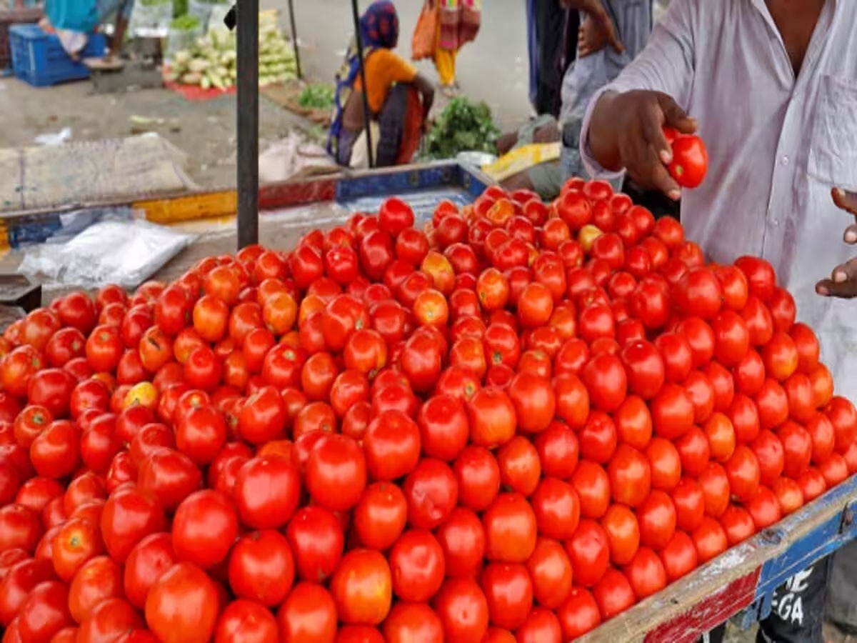 Tomato Price: टमाटर हुआ सस्ता, अब इतने में मिलेगा 1 किलो टमाटर 