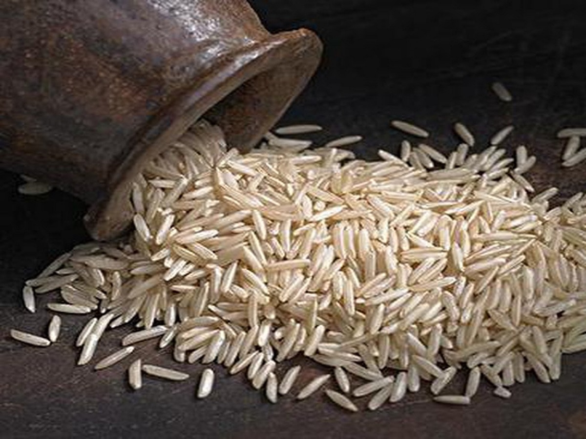 Basmati rice Top Varieties Farmers should adopt this best variety in