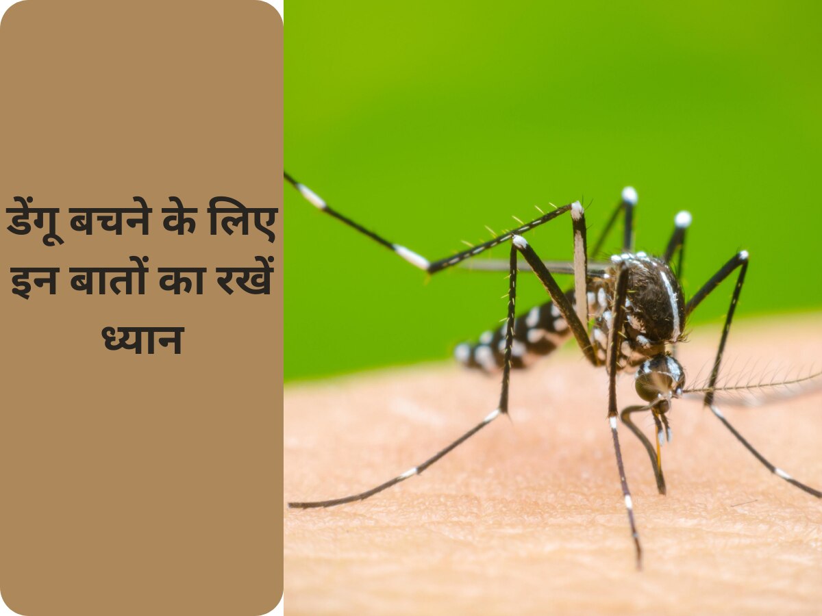 Dengue Fever: मानसून के मौसम में फैल रहा है डेंगू, बचने के लिए इन बातों का रखें ध्यान