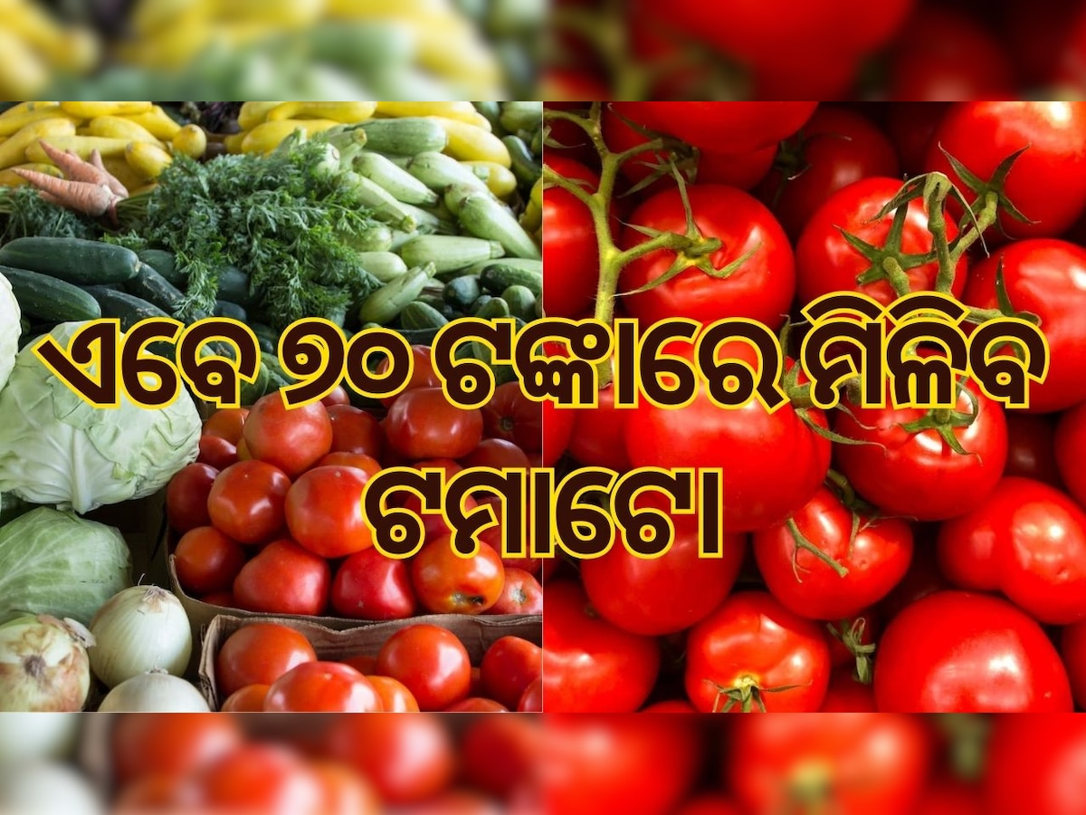 ସାଙ୍କେତିକ ଫଟୋ: Tomato Price in Market