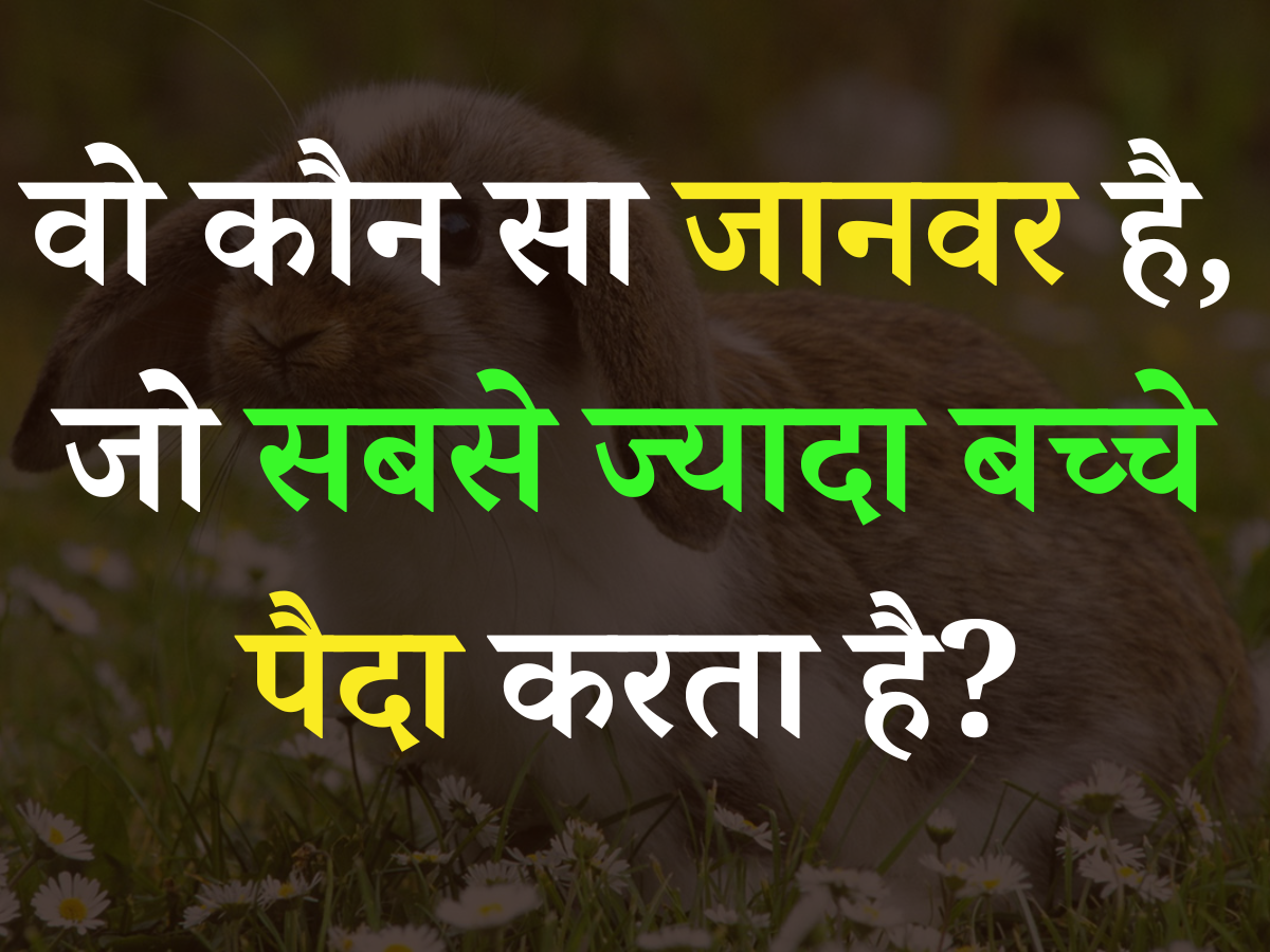 Quiz: आखिर वो कौन सा जानवर है, जो सबसे ज्यादा बच्चे पैदा करता है? Quiz: आखिर वो कौन सा जानवर है, जो सबसे ज्यादा बच्चे पैदा करता है?