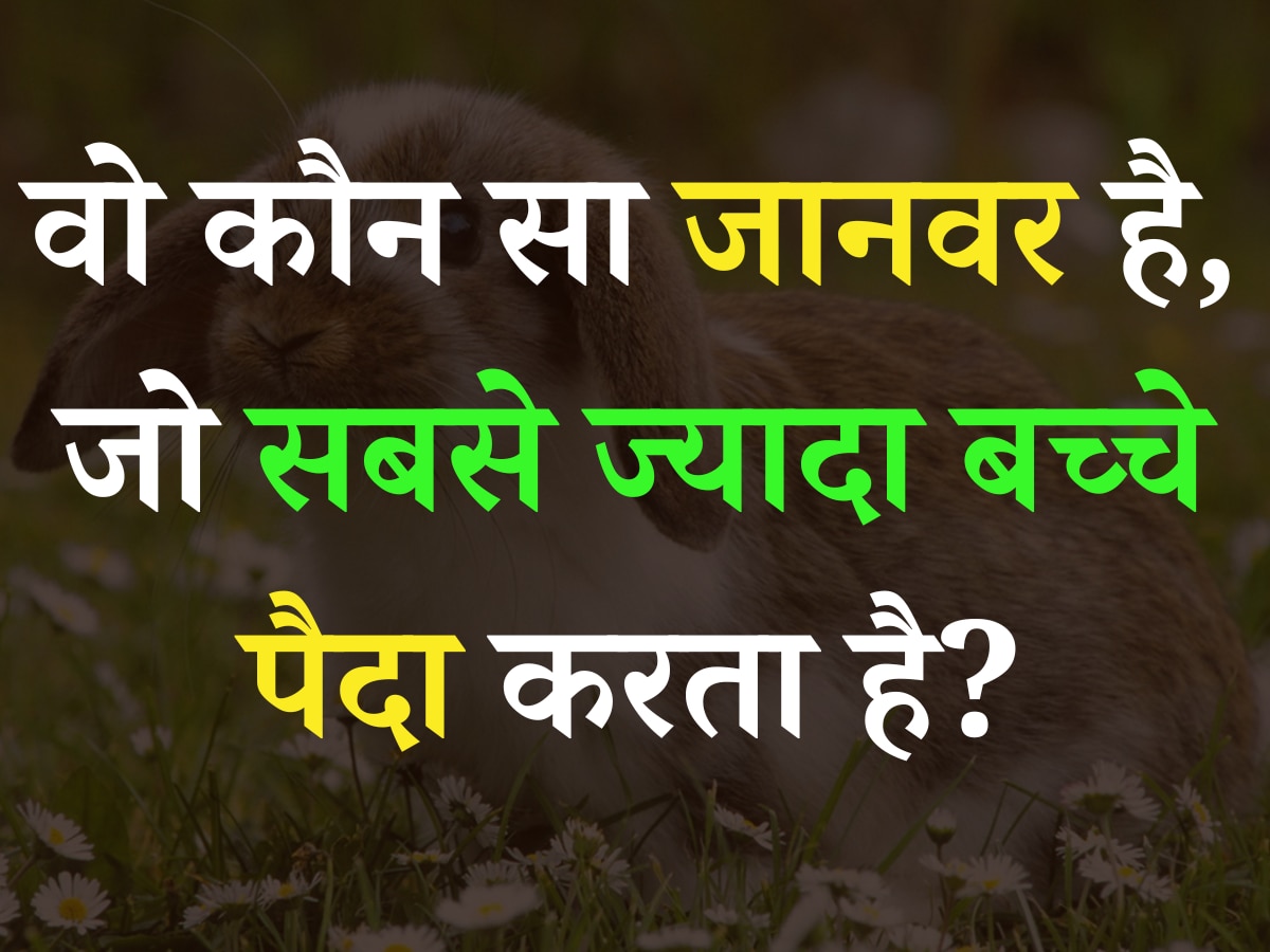 Quiz: आखिर वो कौन सा जानवर है, जो सबसे ज्यादा बच्चे पैदा करता है?