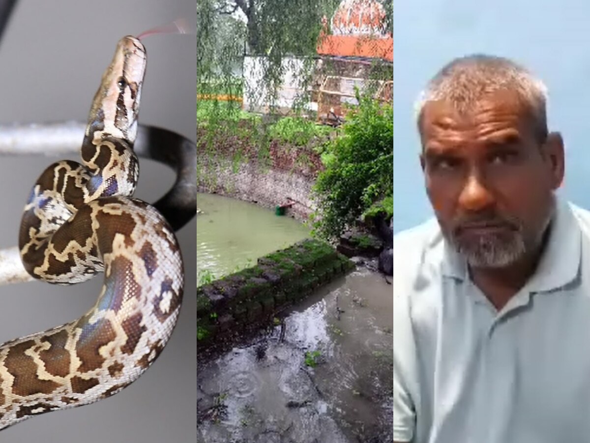 Ujjain News: मंदिर से लौट रहे शख्स को मिला अजगर, बचने का किया ऐसा उपाए कि 'आसमान से गिरा खजूर में अटका'