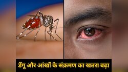 बाढ़ के बाद दिल्ली में तेजी से फैल रहा डेंगू और आंखों का संक्रमण; इस तरह करें बचाव