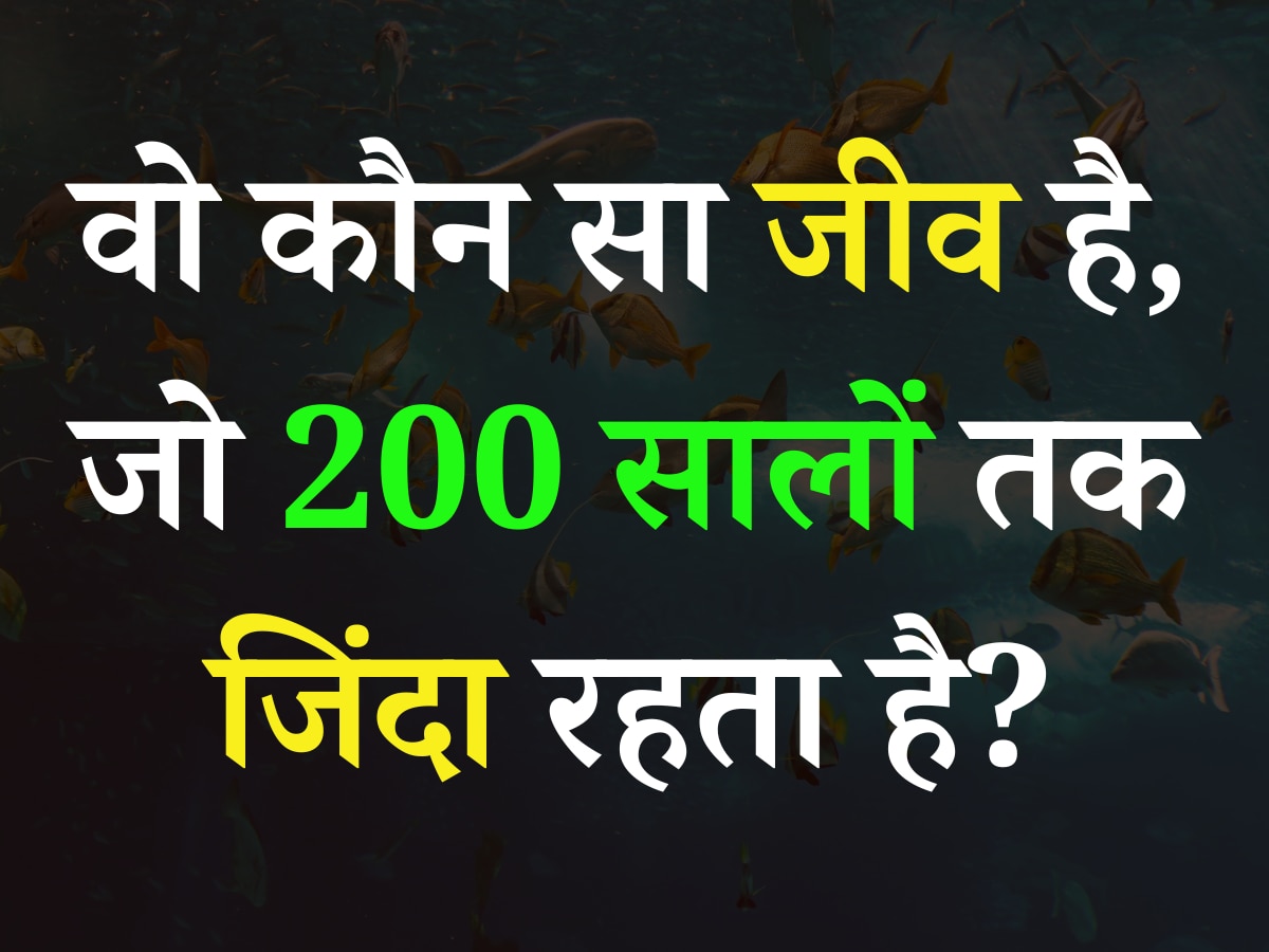 Quiz: बताएं आखिर ऐसा कौन सा जीव है, जो 200 सालों तक जिंदा रहता है?