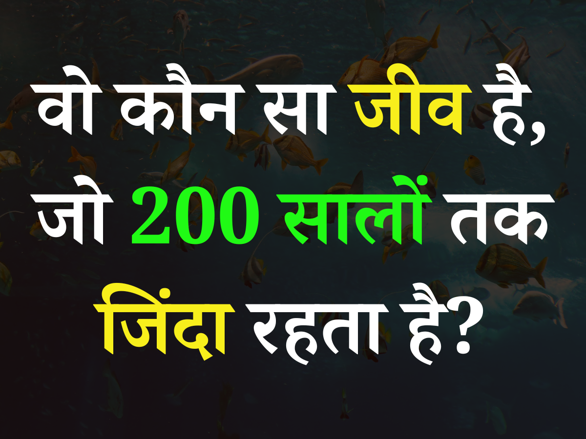 Quiz: बताएं आखिर ऐसा कौन सा जीव है, जो 200 सालों तक जिंदा रहता है? Quiz: बताएं आखिर ऐसा कौन सा जीव है, जो 200 सालों तक जिंदा रहता है?