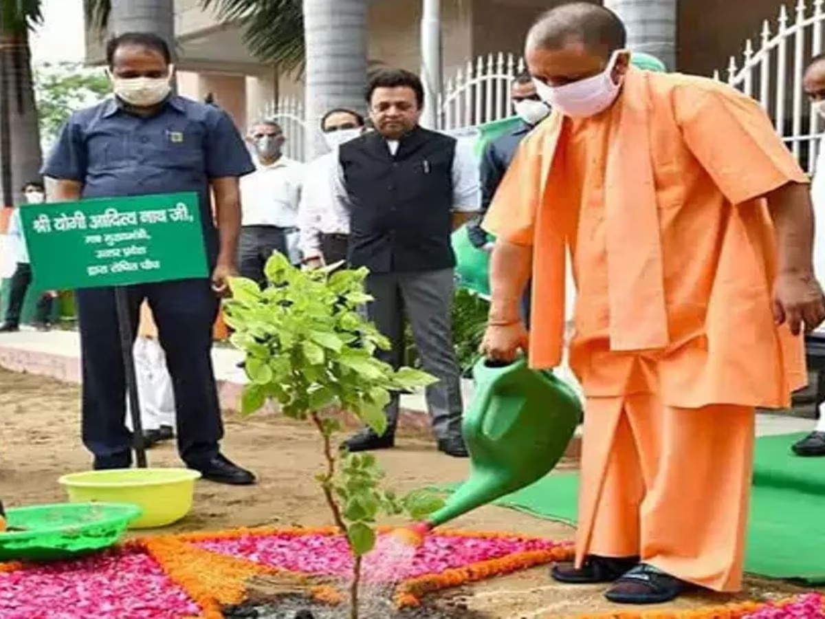 UP green planting (फाइल फोटो)