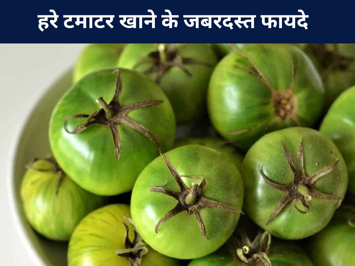 Green Tomato: हरे टमाटर देखकर न सिंकोड़ें नाक भौं, सेहत को पहुंचाता है 3 बड़े फायदे