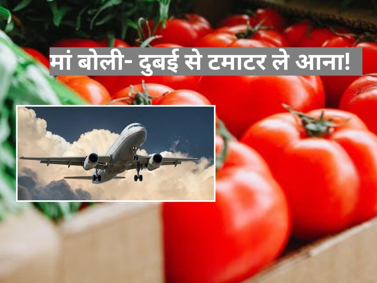 Tomato Saga: दुबई से घर लौट रही थी, मां बोली-टमाटर ले आना! फिर बेटी ने जो किया..वायरल हो गया