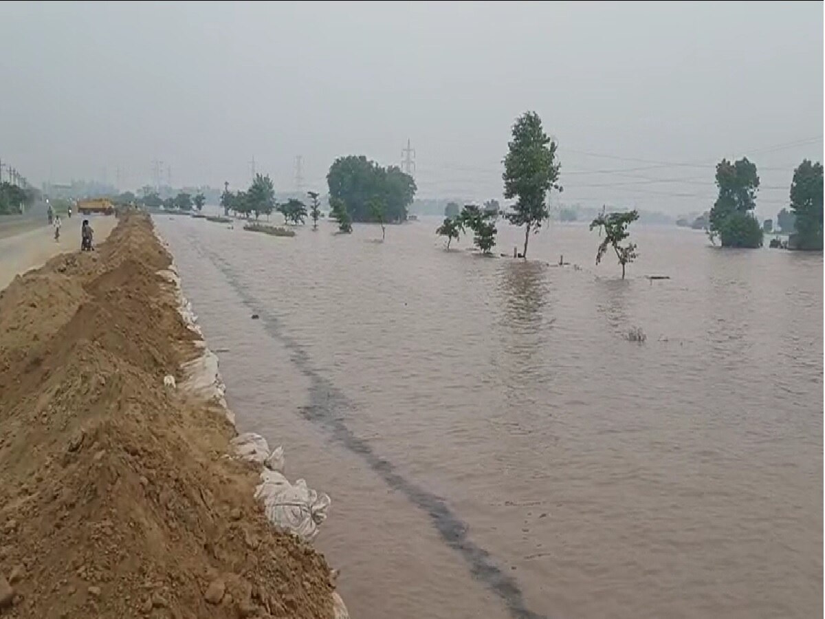 Haryana Flood: हरियाणा में बाढ़ का कहर, सिरसा में घग्घर का बांध टूटा, फतेहाबाद में NH9 में भरा पानी 