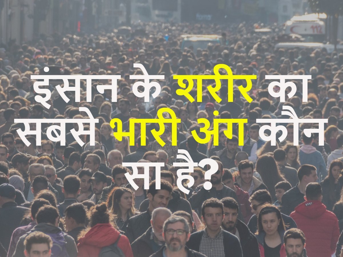 Quiz: इंसान के शरीर का सबसे भारी अंग कौन सा है?