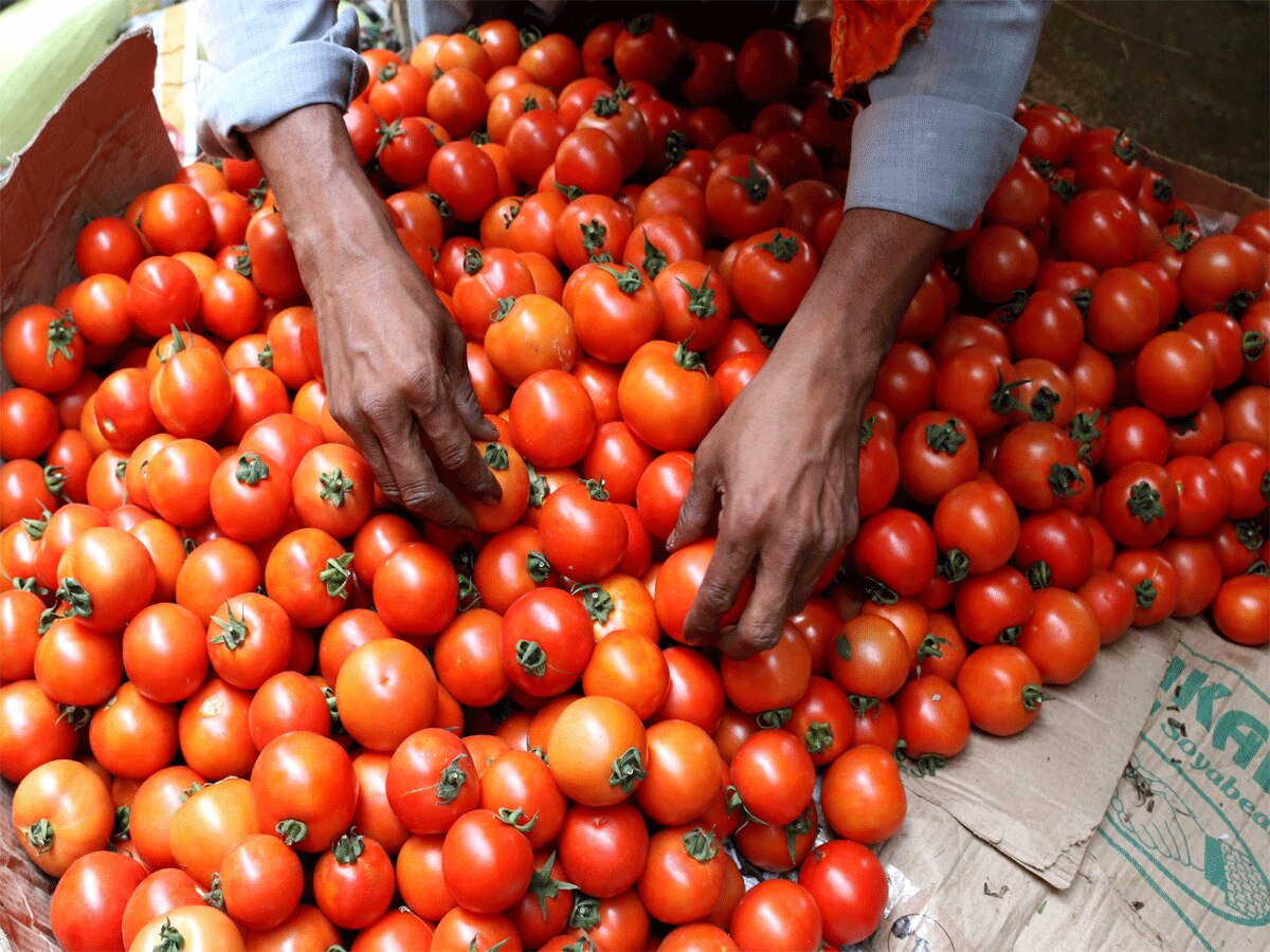 Tomato Price: दिल्लीवासियों के लिए खुशखबरी! आज से बिकेगा सस्ता टमाटर, जानें पूरी डिटेल