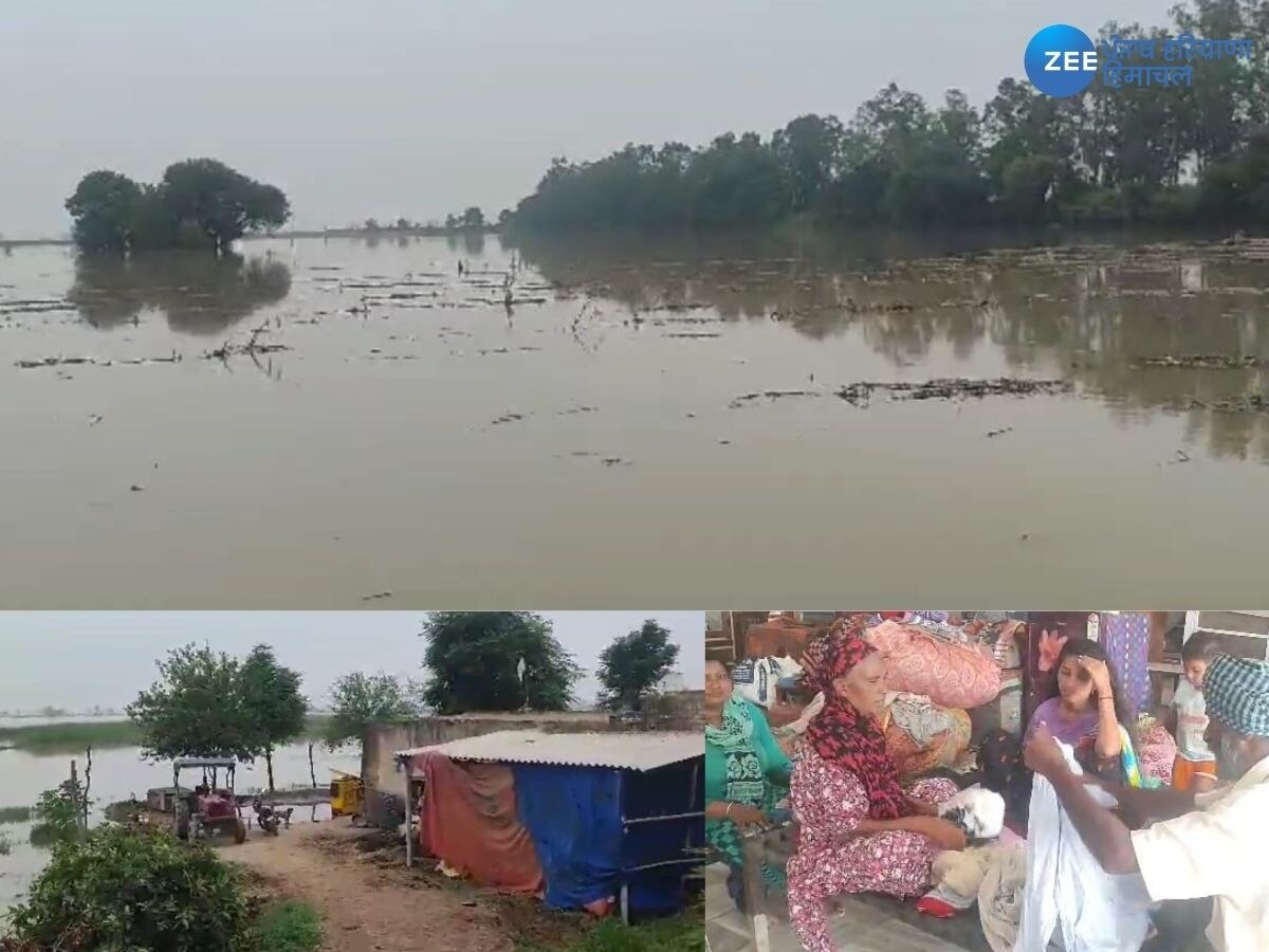 Punjab Flood News: ਸਤਲੁਜ ਤੇ ਬਿਆਸ ਦਰਿਆ ਨੇ ਉਜਾੜੇ ਲੋਕਾਂ ਦੇ ਆਸ਼ਿਆਨੇ, ਫਸਲਾਂ ਨੂੰ ਕੀਤਾ ਬਰਬਾਦ