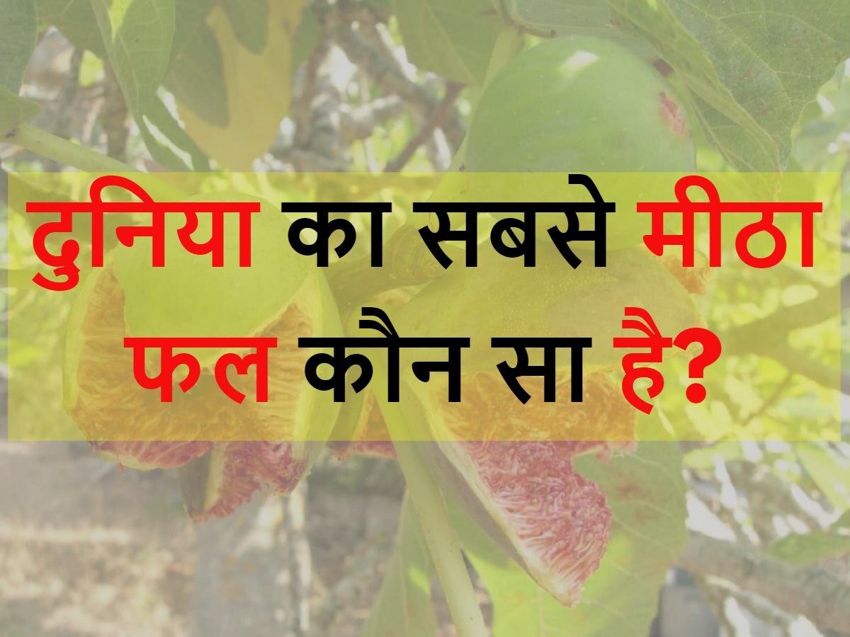 Quiz: दुनिया का सबसे मीठा फल कौन सा है?