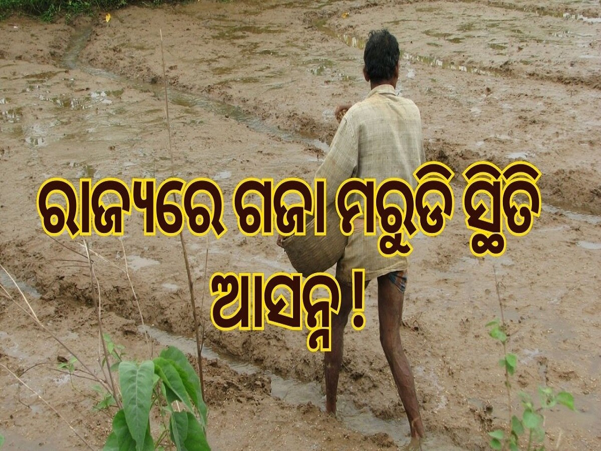 ସାଙ୍କେତିକ ଫଟୋ: Minimum Rain in Odisha: 