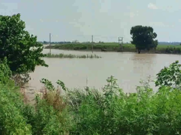 Delhi Floods: दिल्ली में फिर से बढ़ रहा बाढ़ का खतरा, इन जगहों पर खेतों में भरा पानी, किसान परेशान 