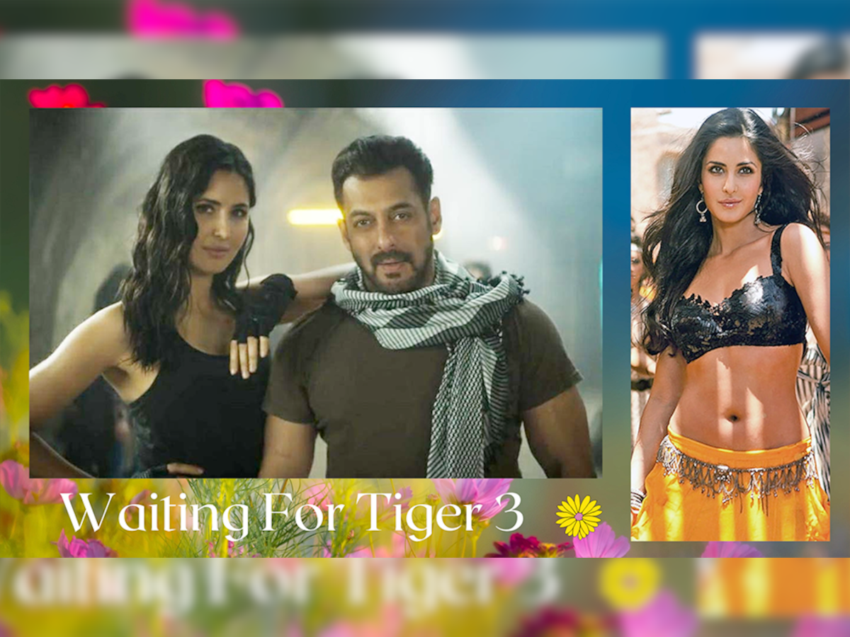 Katrina Kaif: पिछली पांच में से चार फिल्में फ्लॉप रही हैं कैटरीना की, लेकिन टाइगर 3 में उनकी फीस उड़ा देगी होश