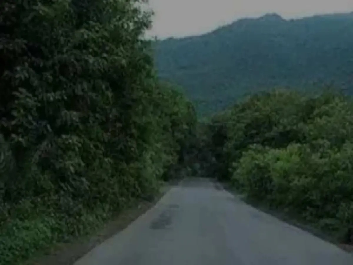 Taimara Valley: ଯେଉଁଠାରେ ପହଞ୍ଚିବା ମାତ୍ରେ ବଦଳିଯାଏ ସମୟ; ଅଚାନକ ମାଡ଼ି ଆସେ ...