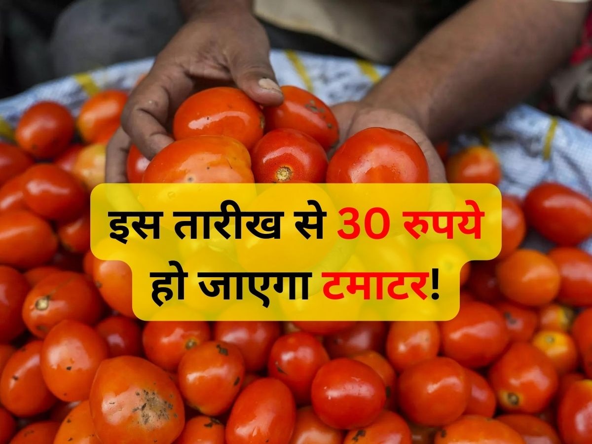 Tomato Price: सिर्फ 30 रुपये में मिलेगा टमाटर, लेकिन इतने दिन करना होगा इंतजार