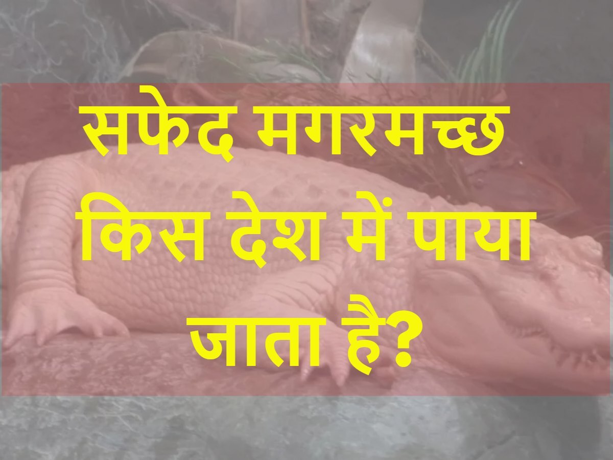 Quiz: सफेद मगरमच्छ किस देश में पाया जाता है?