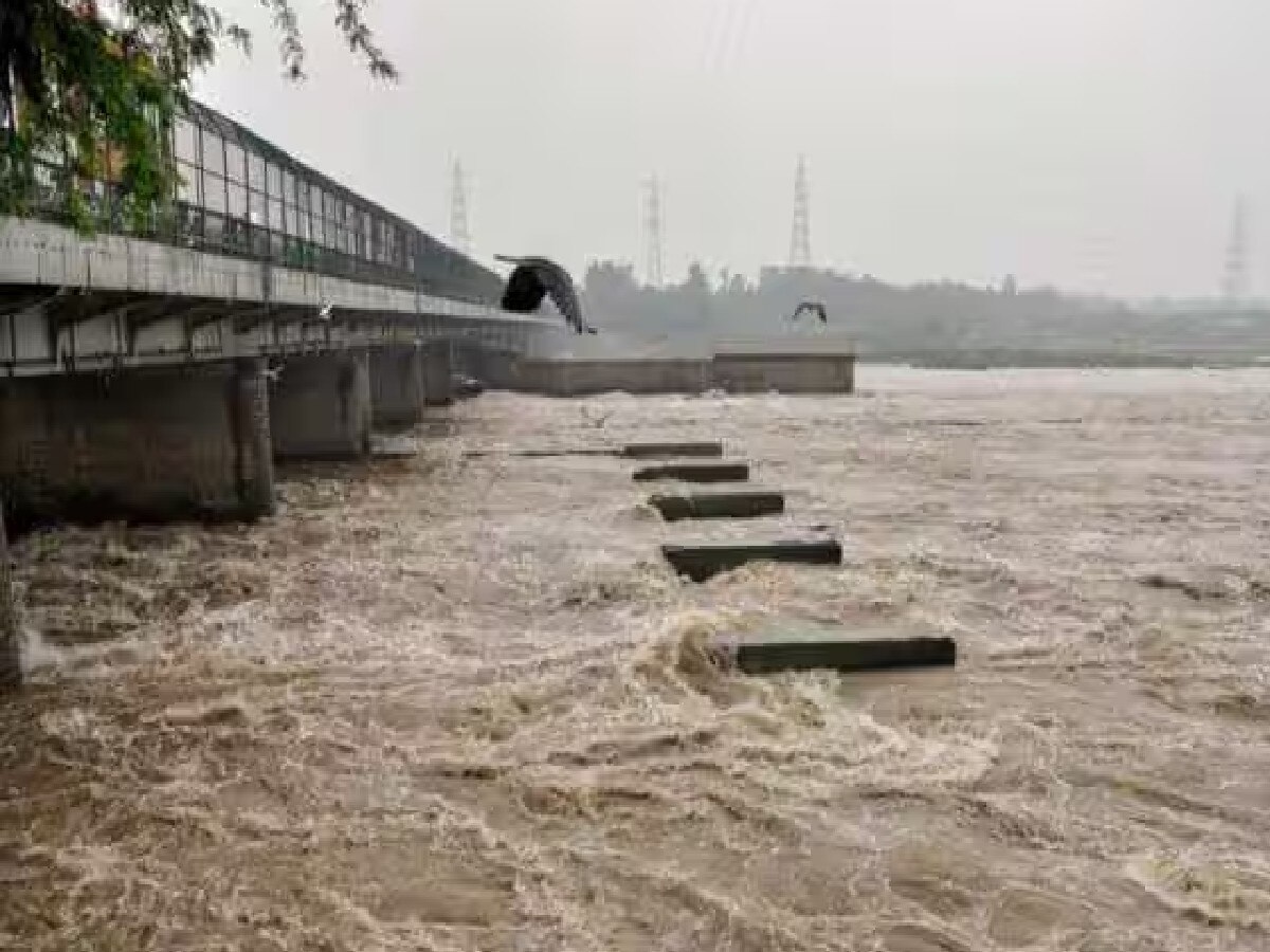 Chandigarh News: एक बार फिर यमुना बरपाएगी कहर, 16 जिलों में भारी बारिश का अलर्ट, स्वास्थ्य विभाग सतर्क