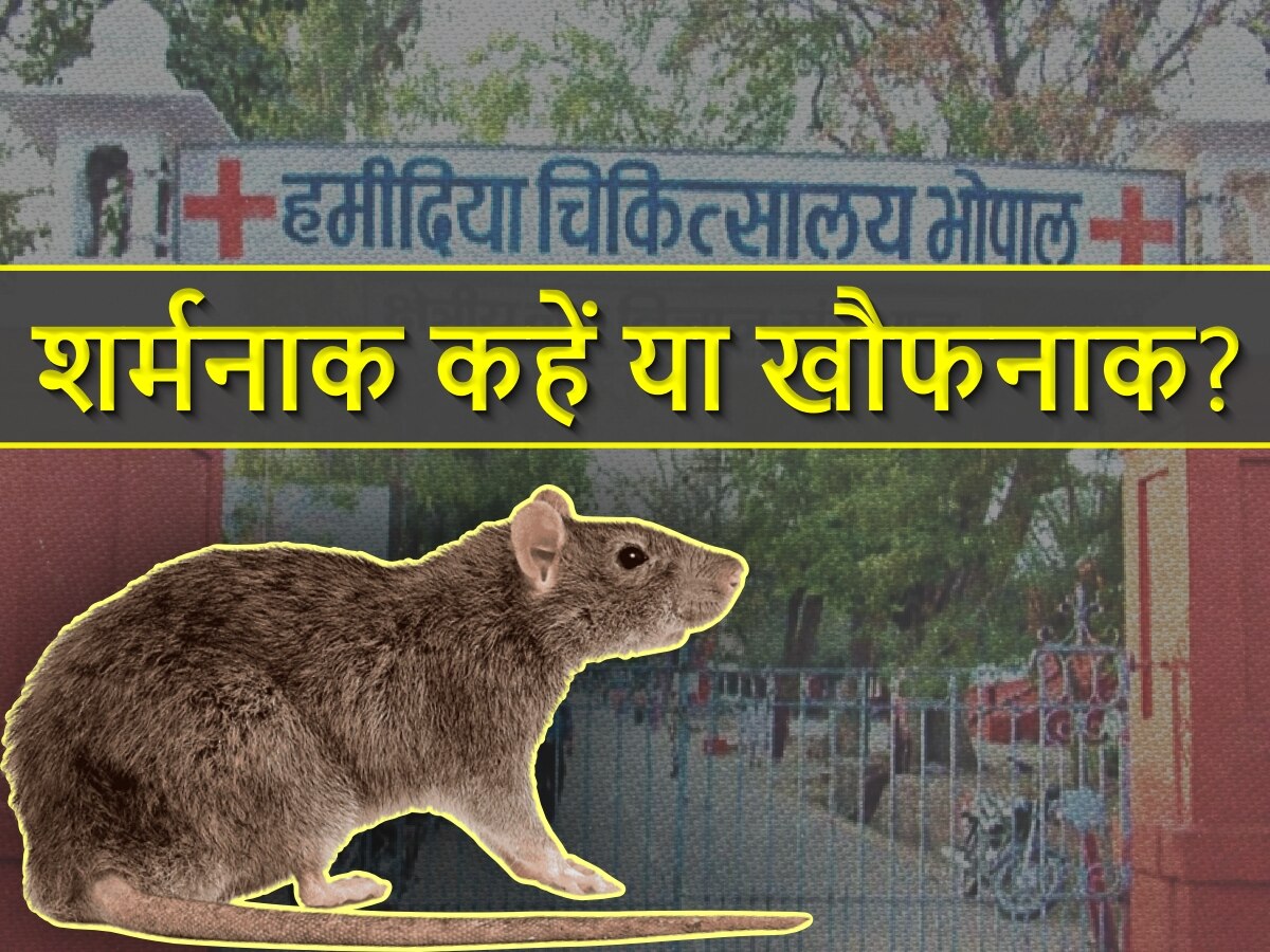 MP News: मुर्दे महफूज नहीं! चूहे कुतर रहे शव, ईंटों से फ्रिज बंद कर रहा बहरा सिस्टम