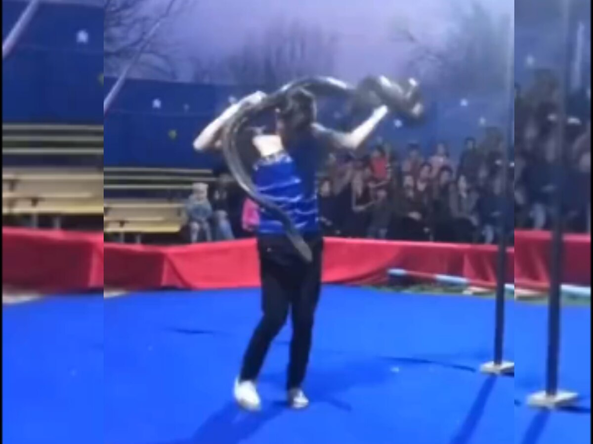 Snake Video Stunt showing python wrapped watch viral video | Snake ...
