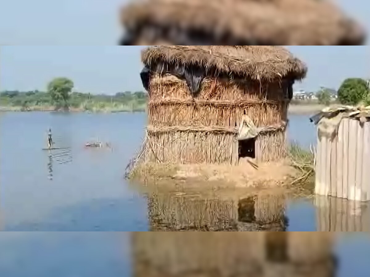 Palwal News: सुनो सरकार! पानी घटने के बाद गंदगी और बीमारी बनी परेशानी, दाने-दाने को मोहताज बाढ़ पीड़ित