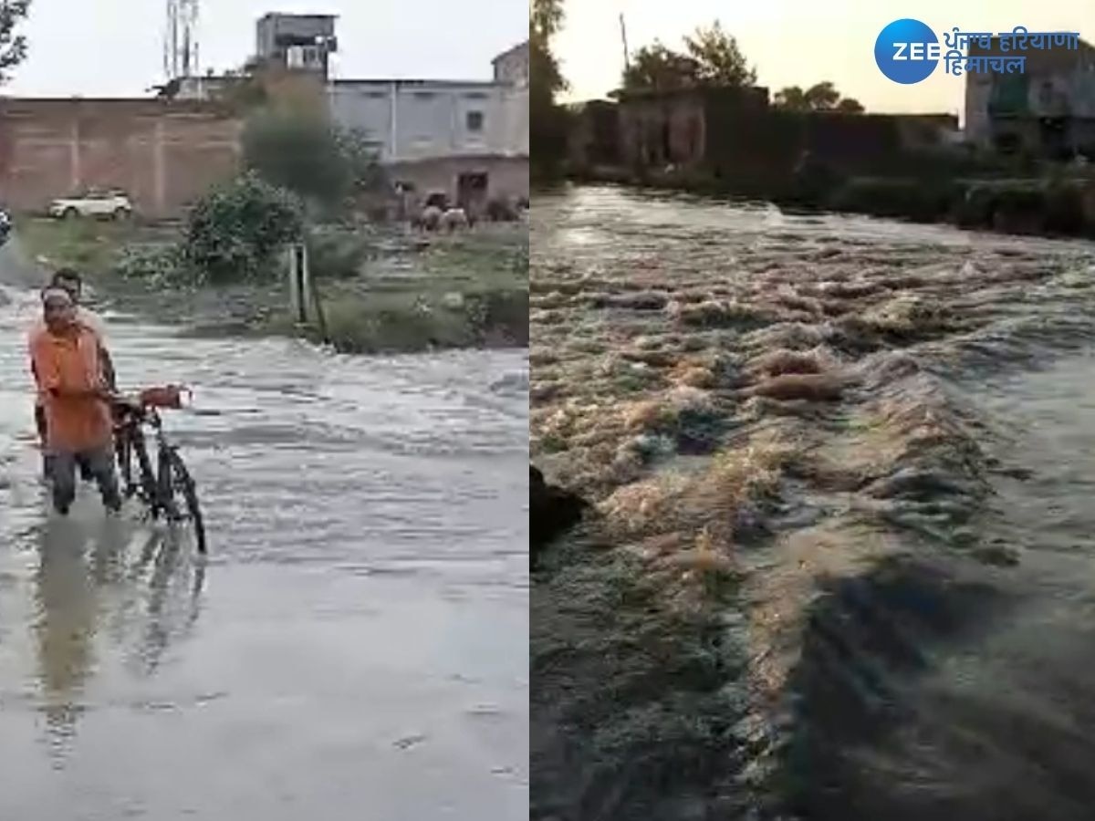Amritsar News: ਕੱਥੂਨੰਗਲ ਨਹਿਰ 'ਚ ਪਾੜ ਪੈਣ ਨਾਲ ਭਰੀ ਡਰੇਨ, ਡੁੱਬ ਗਈਆਂ ਕਾਲੋਨੀਆਂ