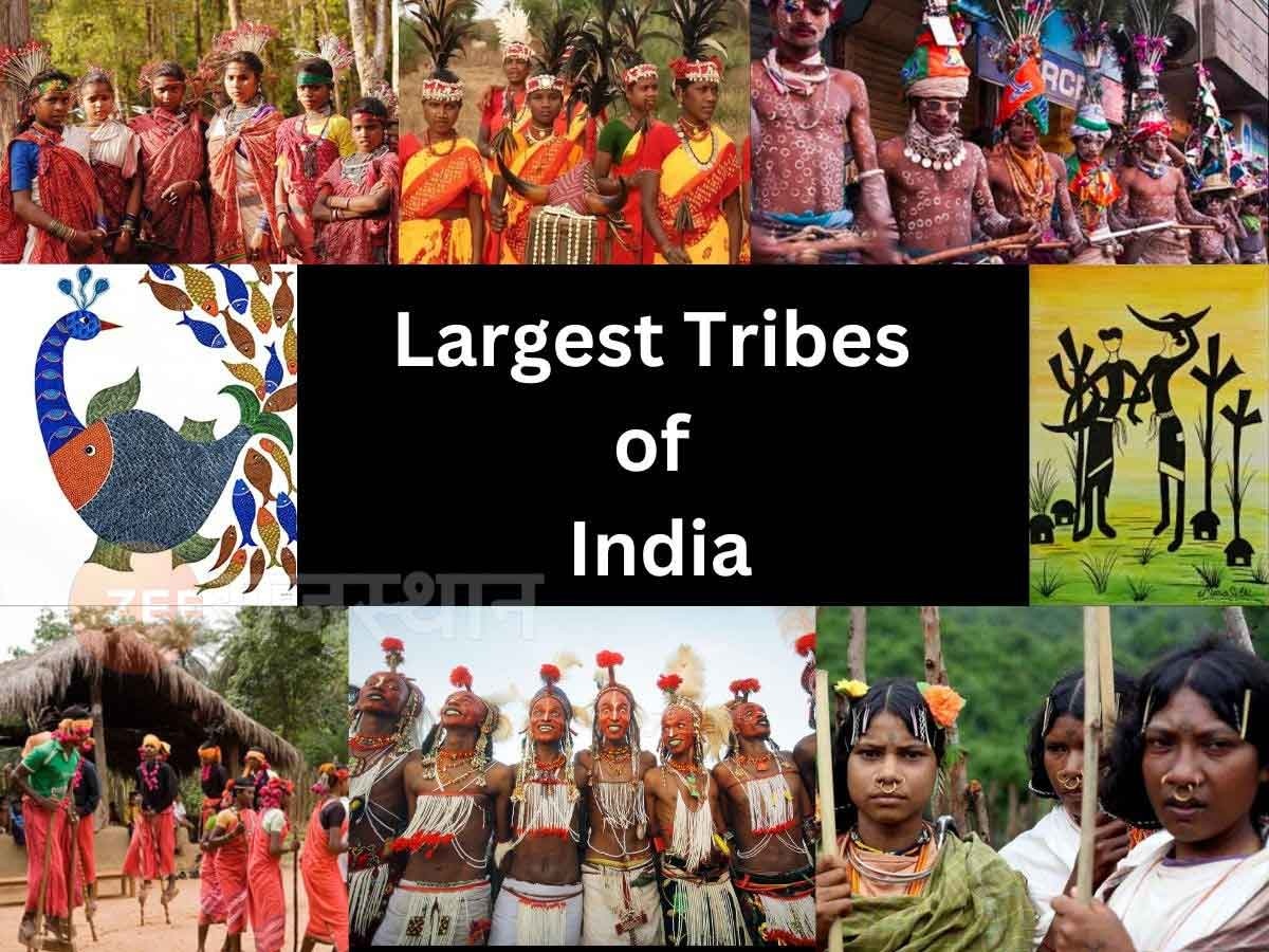 Largest tribe of india