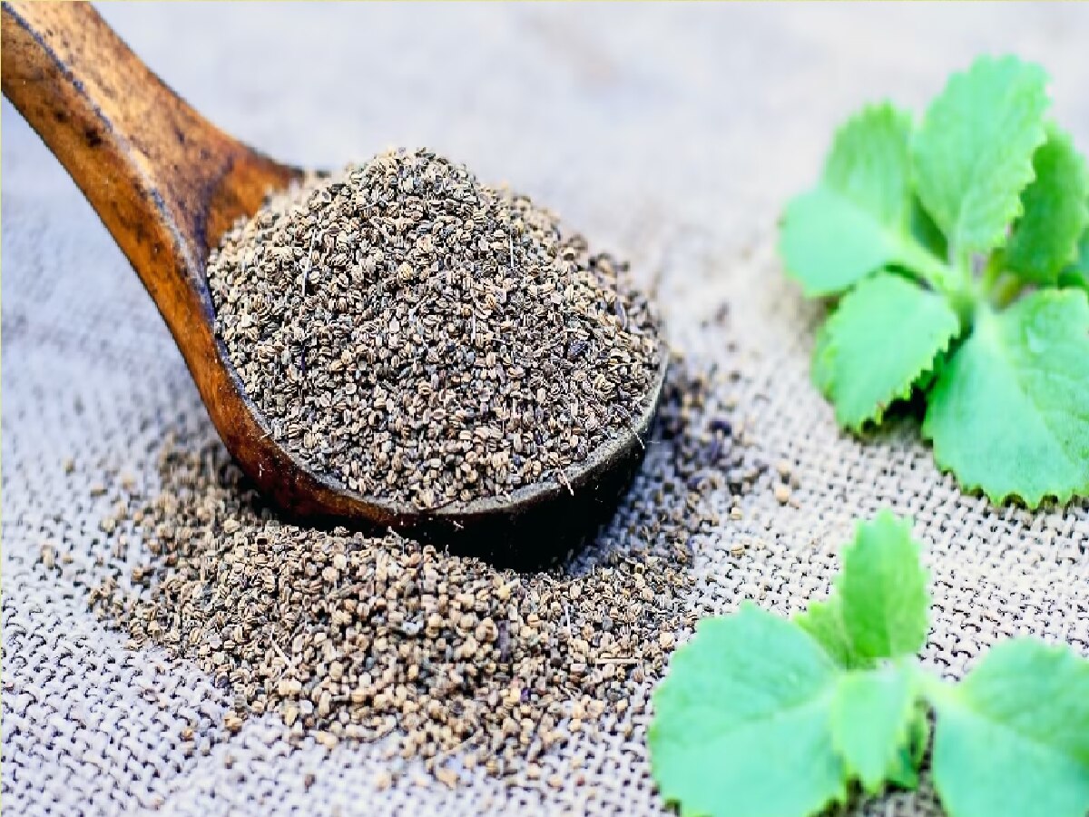 Ajwain at empty stomach know benefits in hindi Ajwain at empty