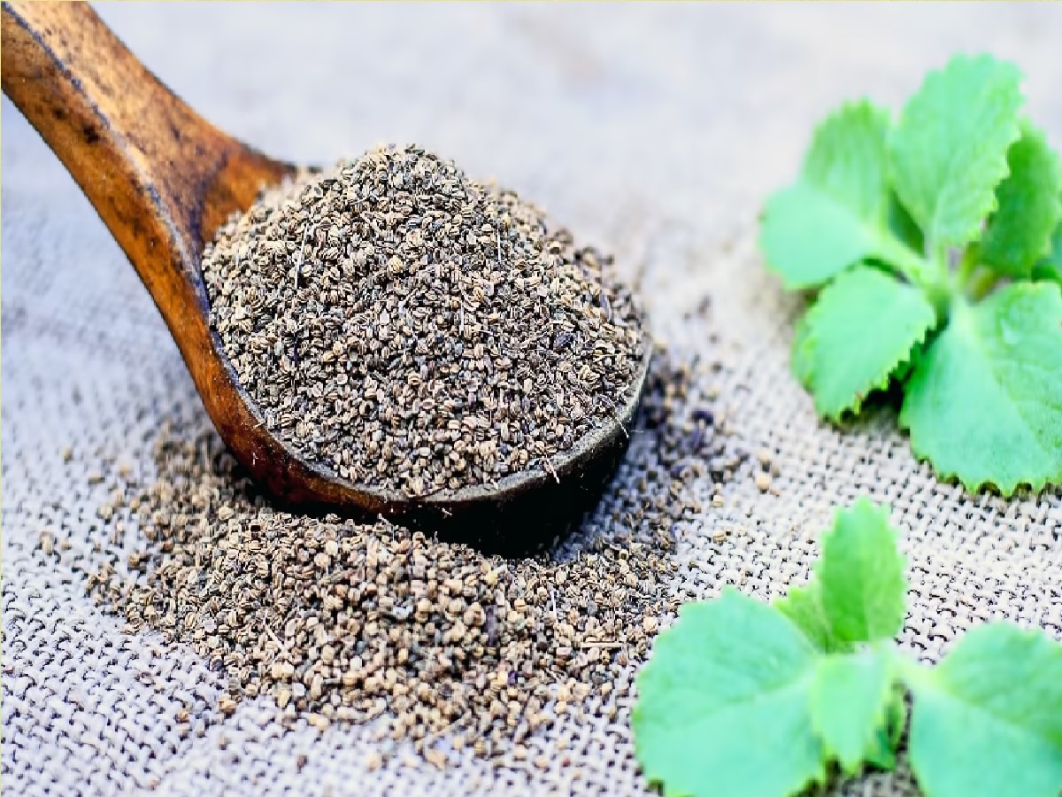 Health Benefits Eating Ajwain (फाइल फोटो)