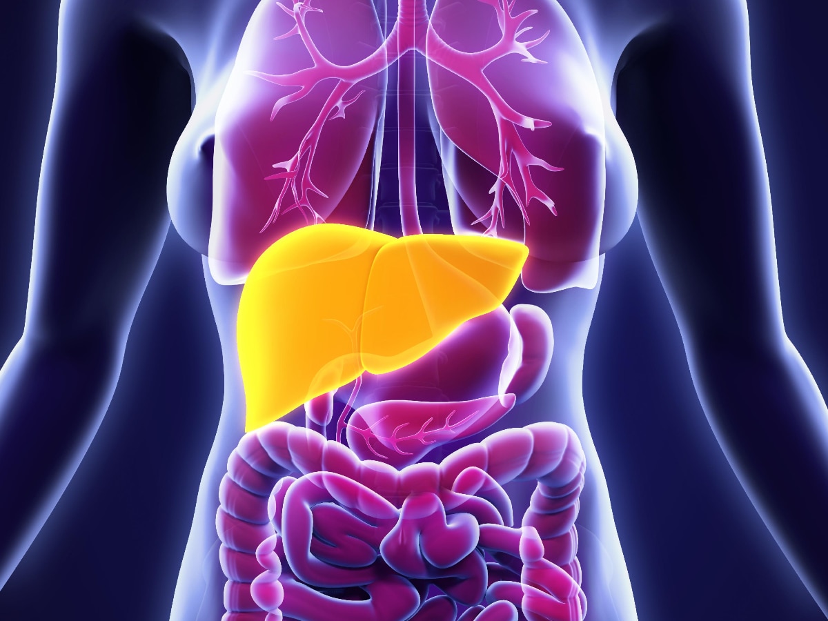 fatty liver symptoms : शरीर में ये 7 बदलाव हो सकते हैं फैटी लिवर के लक्षण, जानें कौन सी बीमारियों का खतरा और कैसे करें बचाव