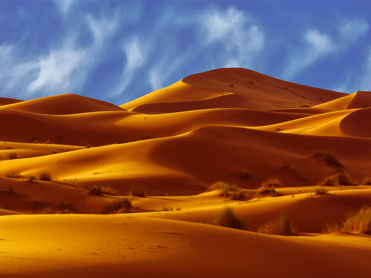 आखिर कौन सा है दुनिया का सबसे बड़ा रेगिस्तान, जो 10 देशों में है फैला, भारत के दो गुना है इसका साइज आखिर कौन सा है दुनिया का सबसे बड़ा रेगिस्तान, जो 10 देशों में है फैला, भारत के दो गुना है इसका साइज