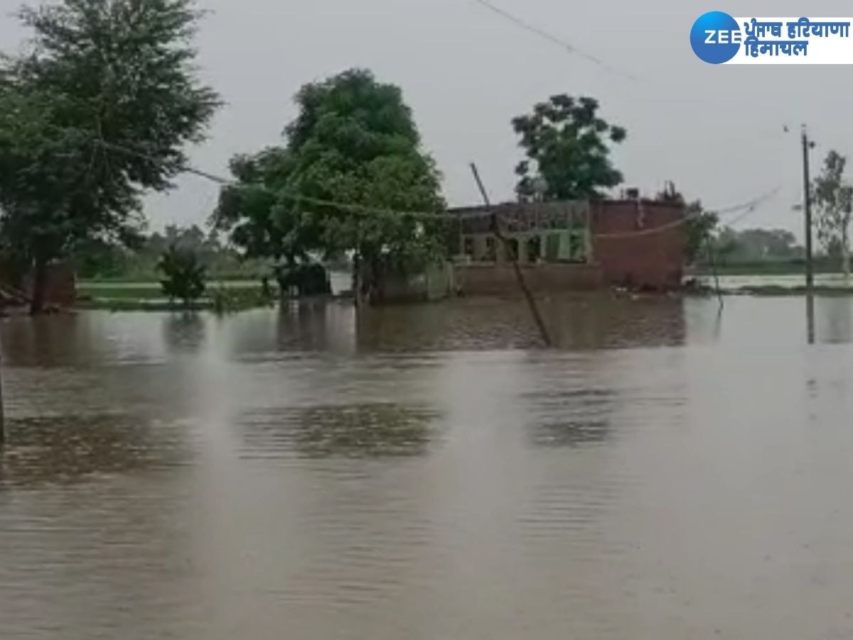 Punjab Flood News: ਫਿਰੋਜ਼ਪੁਰ ਦਾ ਸਰਹੱਦੀ ਪਿੰਡ ਸਤਲੁਜ ਦੇ ਪਾਣੀ ਦੀ ਮਾਰ ਹੇਠ, ਲੋਕ ਹੋ ਰਹੇ ਪਰੇਸ਼ਾਨ 