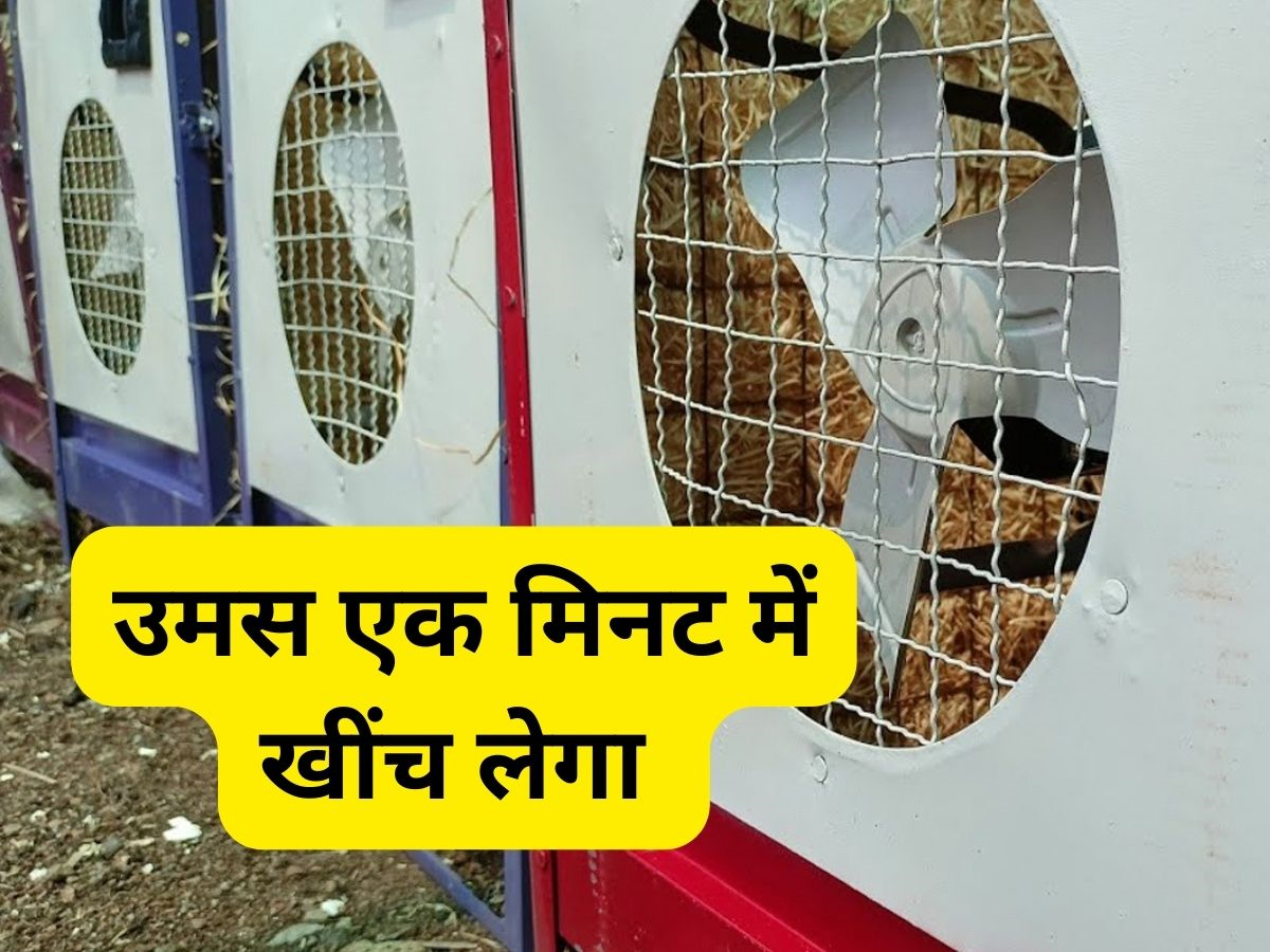 AC नहीं, ये 6 हजार वाला कूलर सोख लेगा उमस भरी गर्मी, बस कर दें ये छोटी सी सेटिंग AC नहीं, ये 6 हजार वाला कूलर सोख लेगा उमस भरी गर्मी, बस कर दें ये छोटी सी सेटिंग