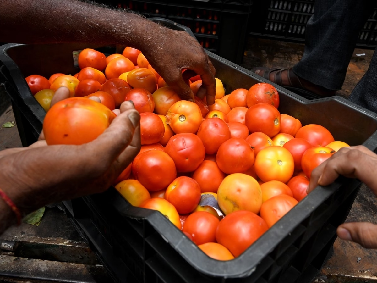 tomato crisis ONDC offering tomatoes at half price Here is how to order |  इस सरकारी ऐप पर आधे दाम पर मिल रहे हैं टमाटर! जानिए कैसे कर सकते हैं ऑर्डर |